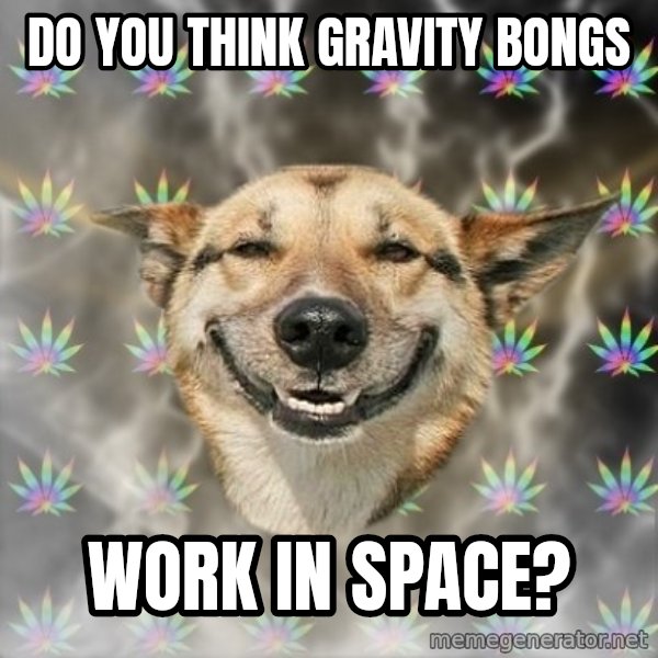 Stoner Dog meme: DO YOU THINK GRAVITY BONGS / WORK IN SPACE?