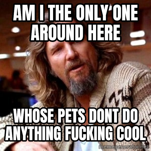 Big Lebowski meme: Am I the Only one around here / whose pets dont do anything fucking cool