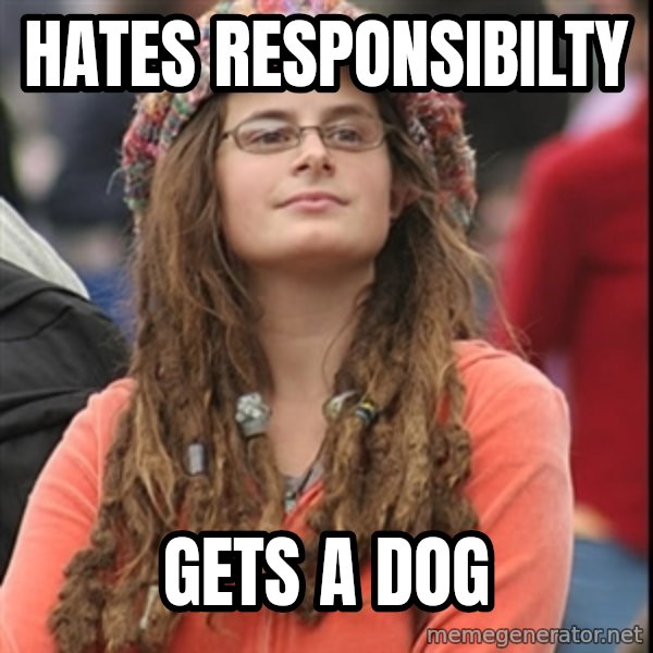 College Liberal meme: HAtes responsibilty / gets a dog