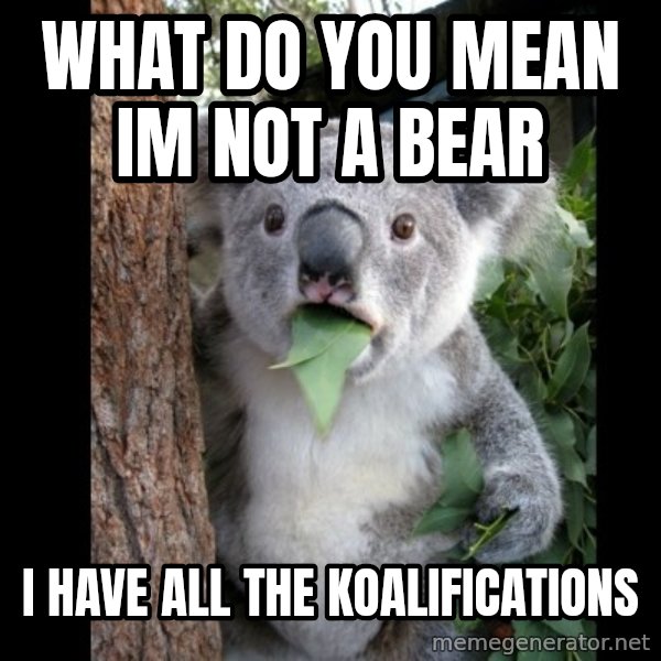 Koala can't believe it meme: What do you mean im not a bear / I have all the Koalifications