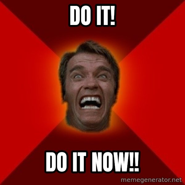 Angry Arnold meme: DO IT! / DO IT NOW!!