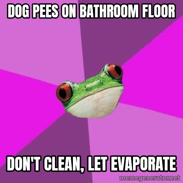 Foul Bachelorette Frog meme: Dog pees on Bathroom floor / don't clean, let evaporate