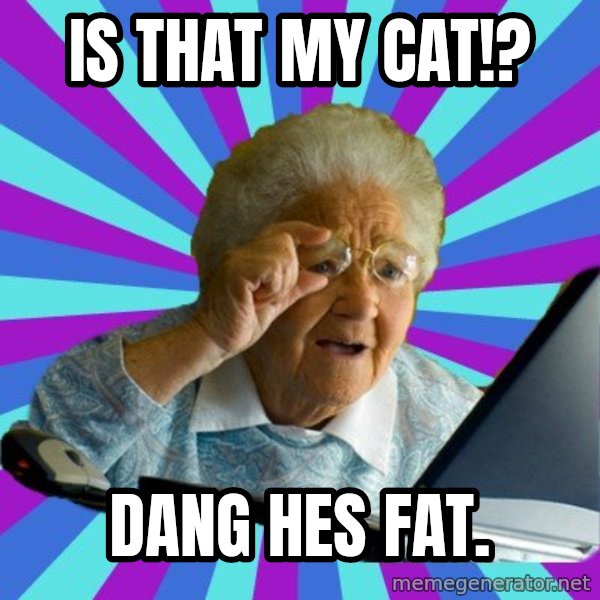 old lady meme: Is that my cat!? / Dang hes fat.