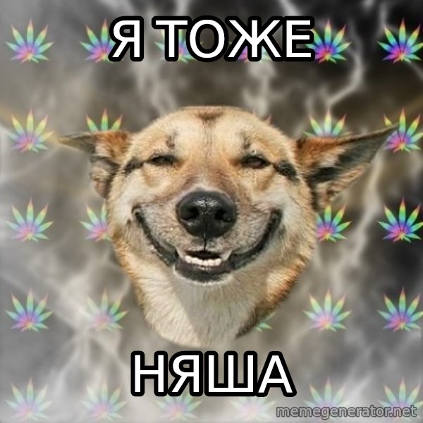 Stoner Dog meme: я тоже / няша