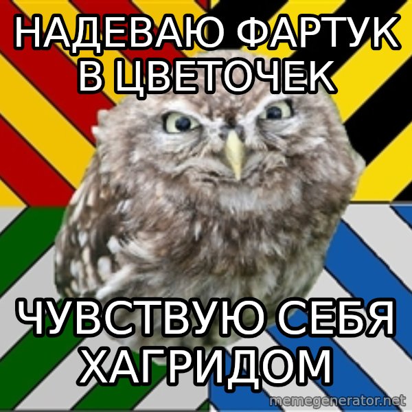 JEALOUS POTTEROMAN meme: Надеваю Фартук в цветочек / чувствую себя хагридом