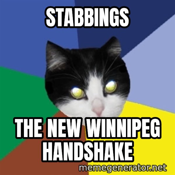 Winnipeg Cat meme: Stabbings / The new Winnipeg Handshake