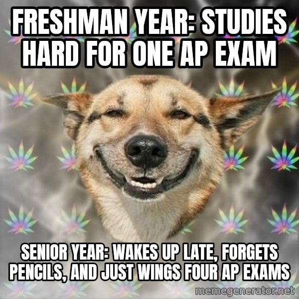 Stoner Dog meme: Freshman year: studies hard for one ap exam / senior year: wakes up late, forgets pencils, and just wings four ap exams