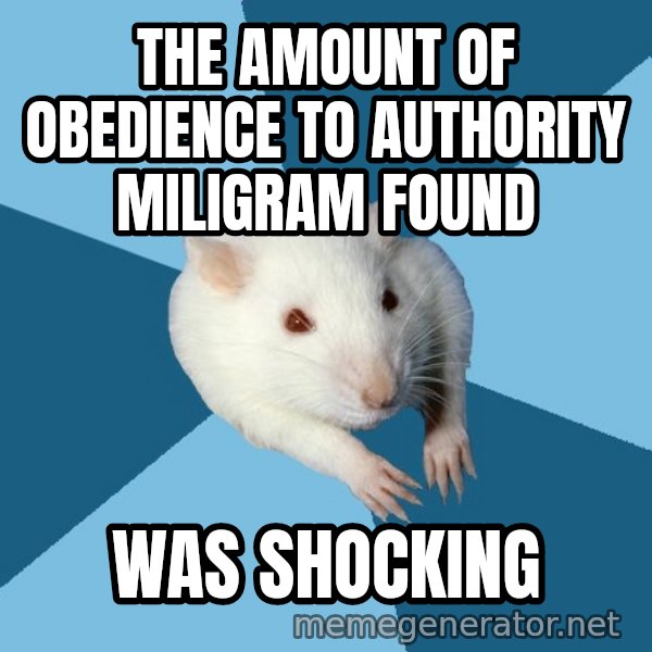 Psychology Major Rat meme: The amount of obedience to authority miligram found / was shocking
