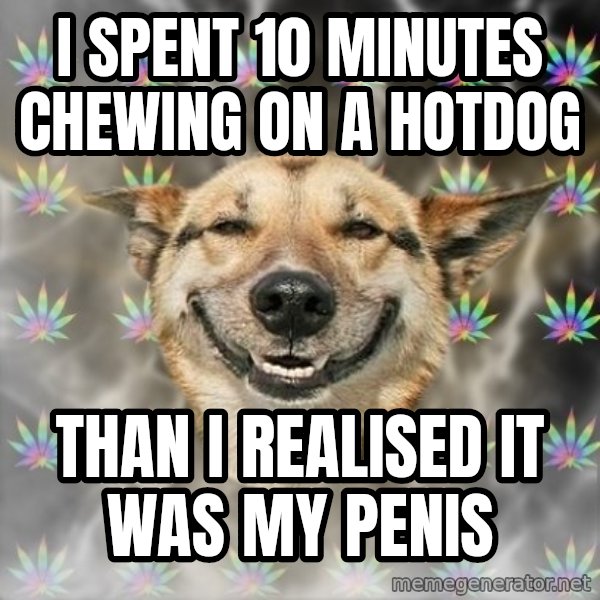 Stoner Dog meme: I SPENT 10 MINUTES CHEWING ON A HOTDOG / THAN I REALISED IT WAS MY PENIS