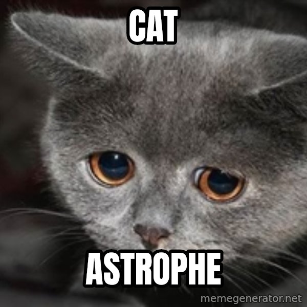 Sadcat meme: cat / astrophe