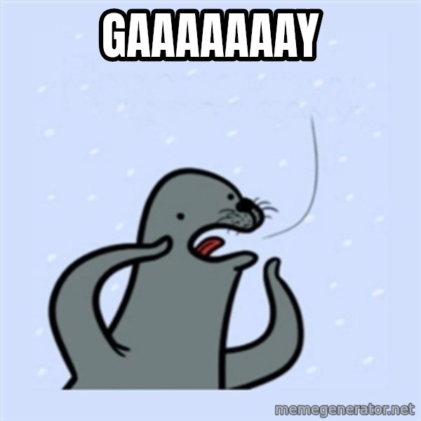 gay seal meme: GAAAAAAAY