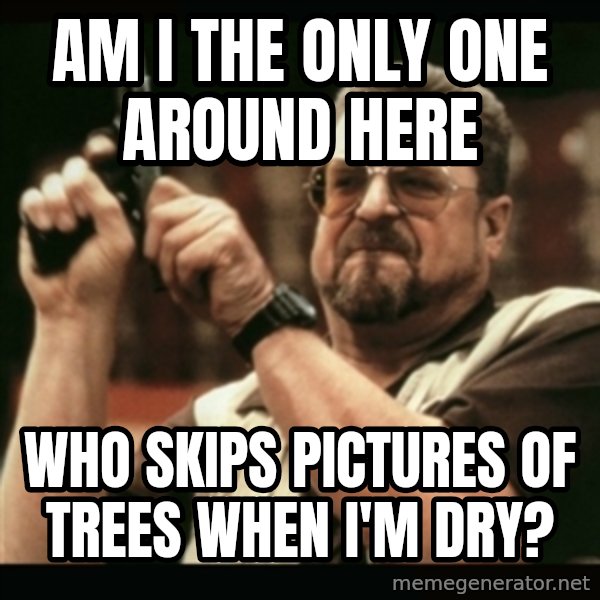 am i the only one around here meme: Am i the only one around here / who skips pictures of trees when i'm dry?