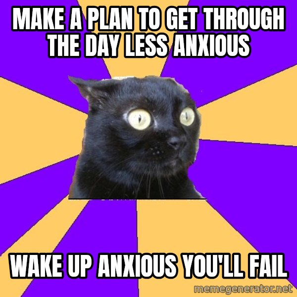 Anxiety Cat meme: make a plan to get through the day less anxious / wake up anxious you'll fail
