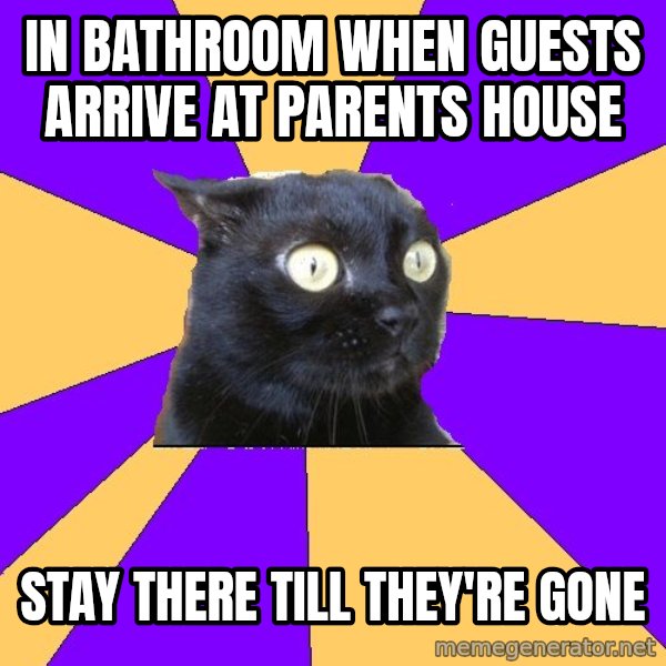 Anxiety Cat meme: in bathroom when guests arrive at parents house / stay there till they're gone