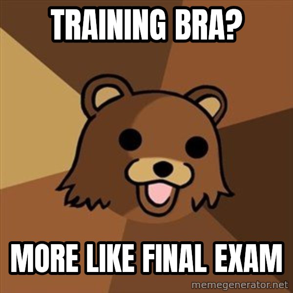 Pedobear meme: training bra? / more like final exam