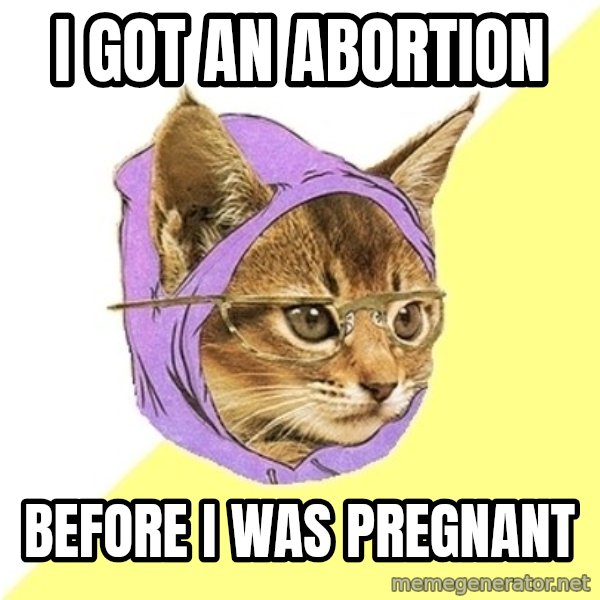 Hipster Kitty meme: I got an abortion / Before i was pregnant
