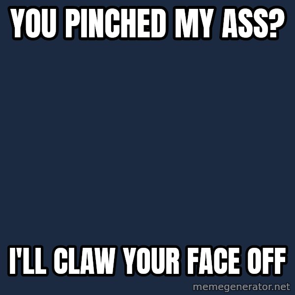 Gipcat meme: you pinched my ass? / I'll claw your face off