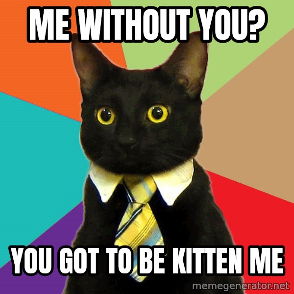 Business Cat meme: me without you? / you got to be kitten me