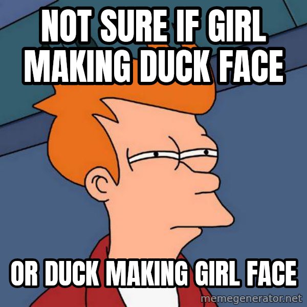 Futurama Fry meme: Not sure if girl making duck face / or duck making girl face