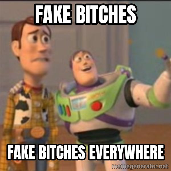 Buzz meme: fake bitches / fake bitches everywhere