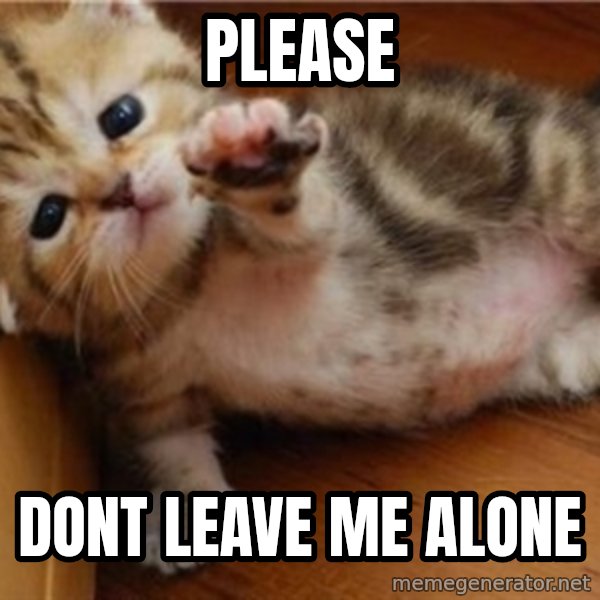 fallen kitten meme: Please / Dont Leave me alone