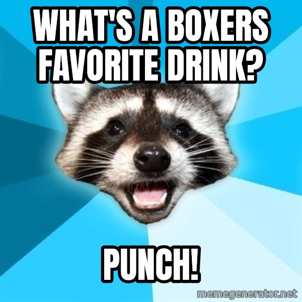 Lame Pun Coon meme: What's a boxers favorite drink? / punch!