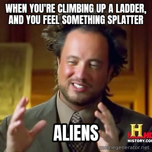 Giorgio A Tsoukalos Hair meme: When you're climbing up a ladder, and you feel something splatter / aliens