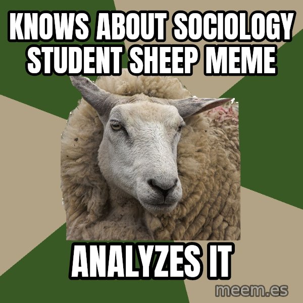 Sociology Student Sheep meme: KNows about sociology student sheep meme / analyzes it