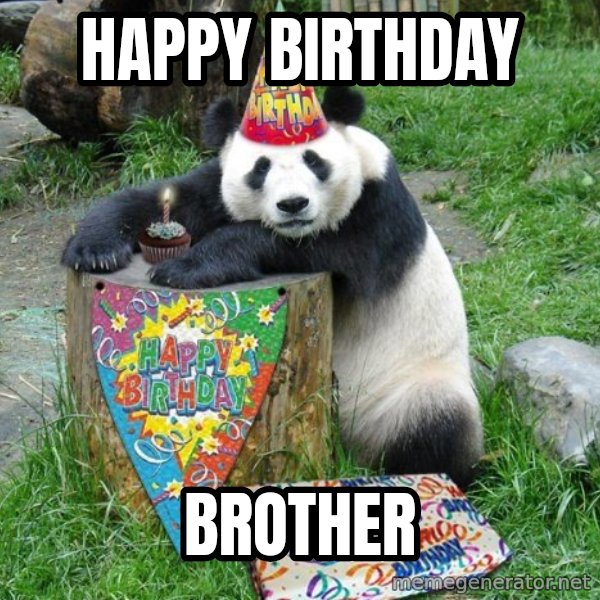 Happy Birthday Panda meme: HAPPY BIRTHDAY / BROTHER