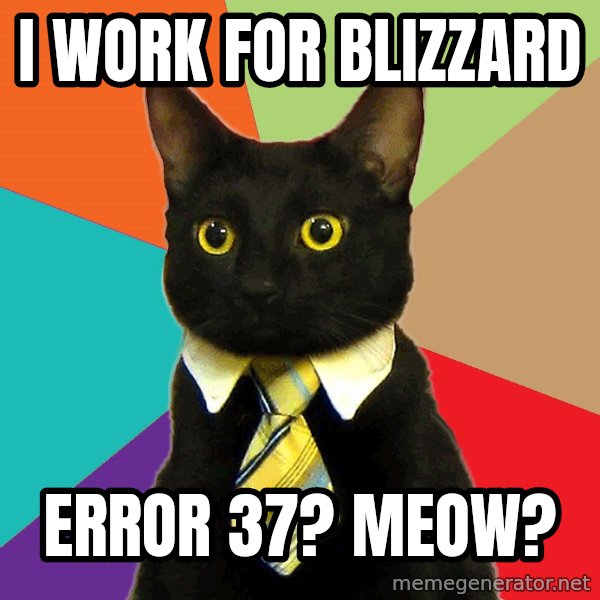 Business Cat meme: I work for blizzard / error 37? meow?