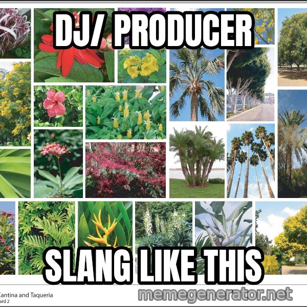 imageboard meme: dj/ producer / slang like this