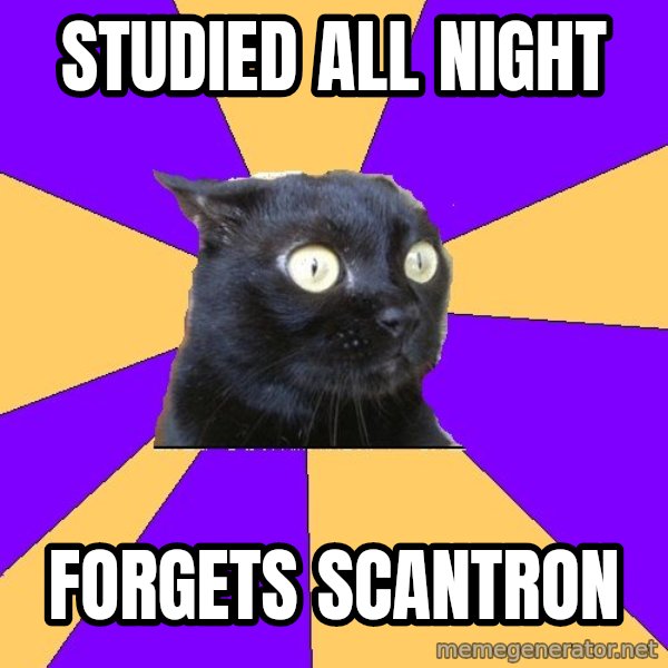 Anxiety Cat meme: Studied all night / Forgets scantron