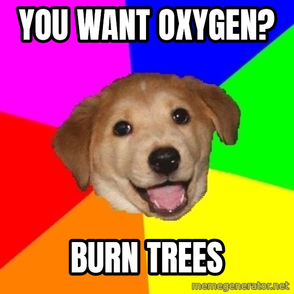Advice Dog meme: You want Oxygen? / Burn trees