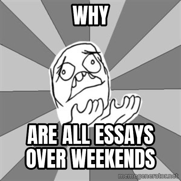 Whyyy??? meme: Why / Are all essays over weekends