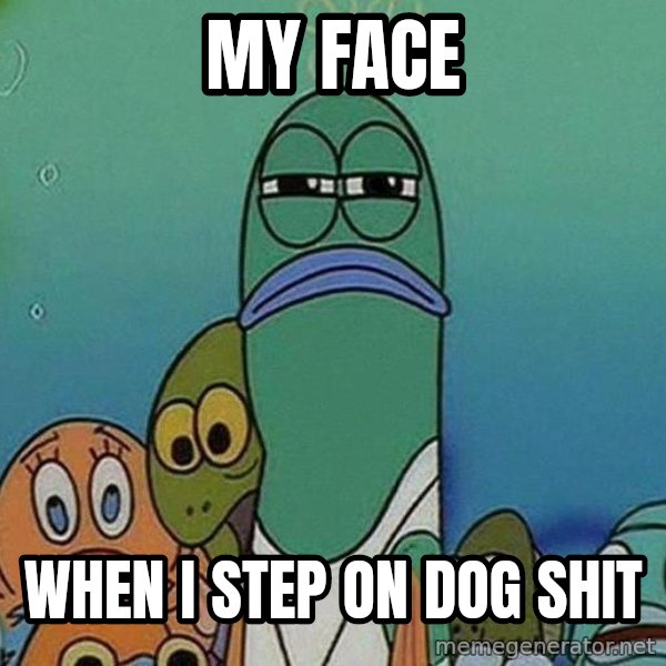 Serious Fish Spongebob meme: my face / when i step on dog shit