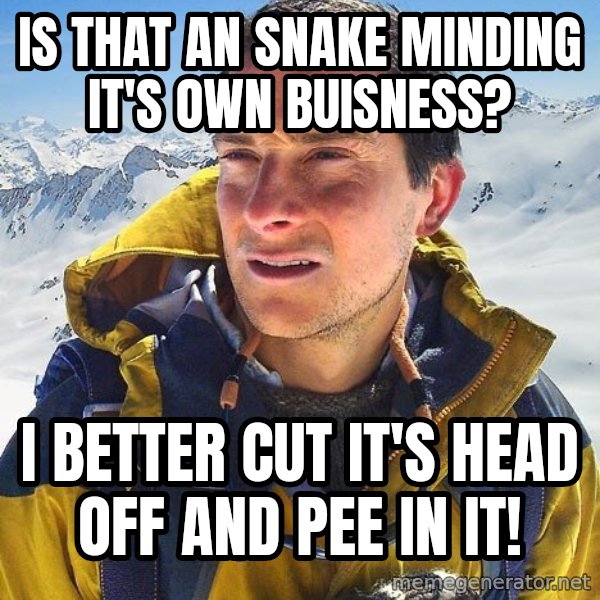 Bear Grylls meme: Is that an snake minding it's own buisness? / I better cut it's head off and pee in it!