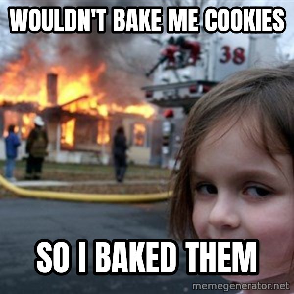 Disaster Girl meme: wouldn't bake me cookies / so i baked them