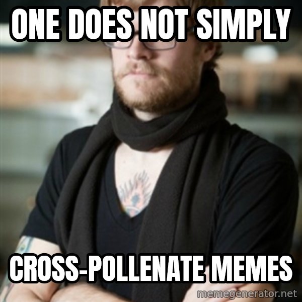 hipster Barista meme: one does not simply / cross-pollenate memes