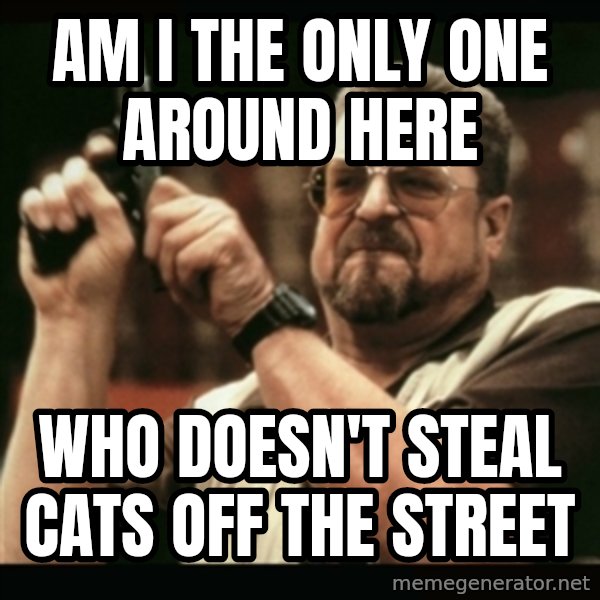 am i the only one around here meme: am i the only one around here / who doesn't steal cats off the street