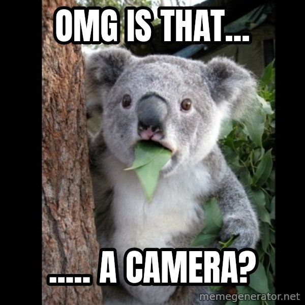 Koala can't believe it meme: omg is that... / ..... a camera?