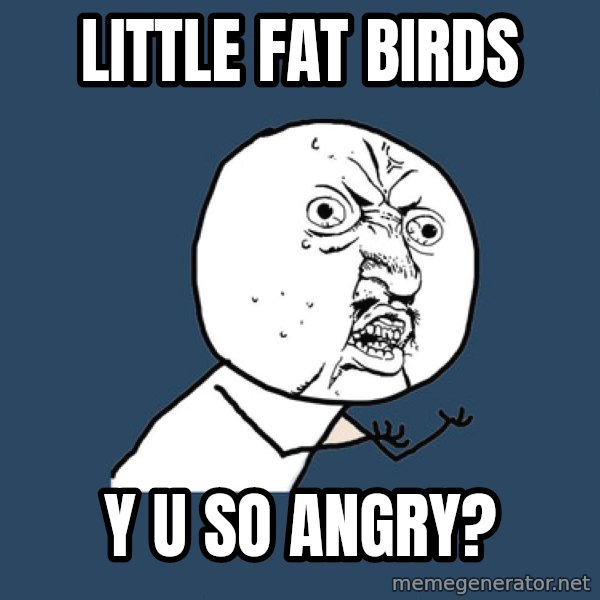 Y U No meme: little fat birds / y u so angry?