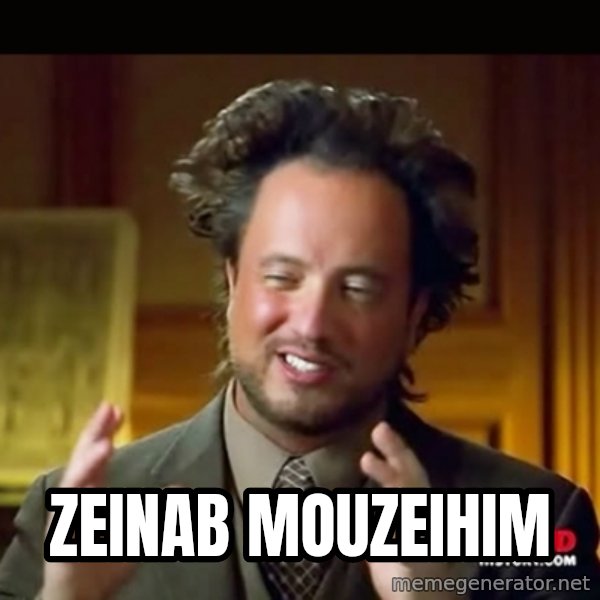 History guy meme: Zeinab Mouzeihim