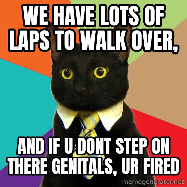 Business Cat meme: we have lots of laps to walk over, / and if u dont step on there GENITALS, ur fired