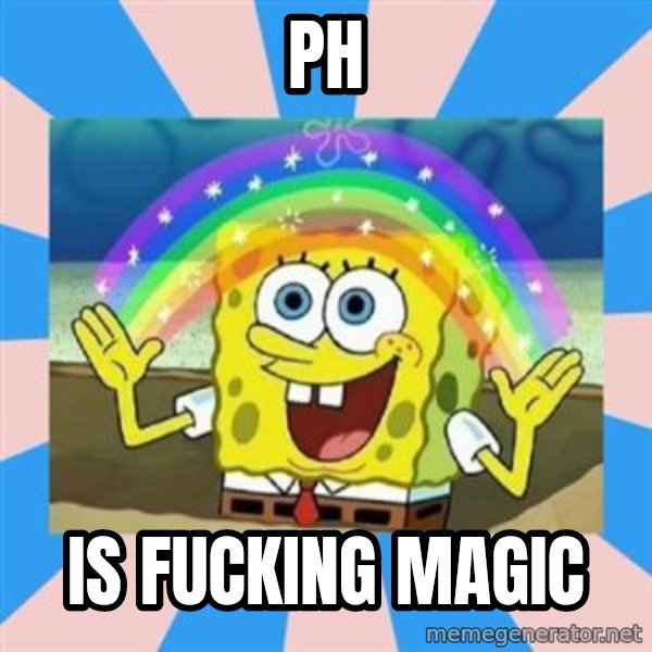 Spongebob Imagination meme: pH / is fucking magic