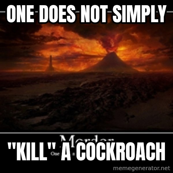 One Does Not Simply meme: One does not simply / "Kill" a cockroach
