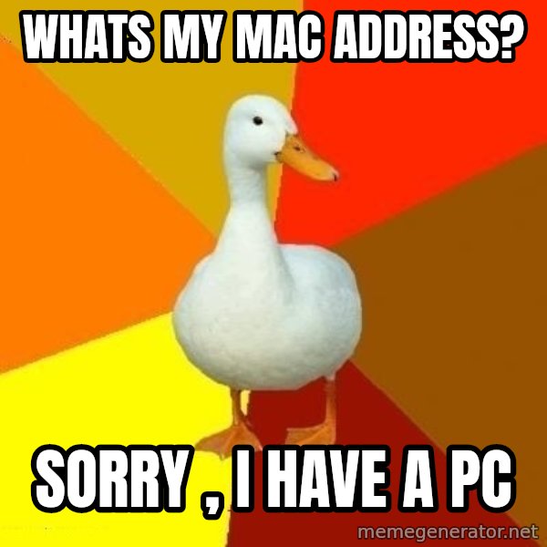 Technologically Impaired Duck meme: whats my mac address? / sorry , i have a pc