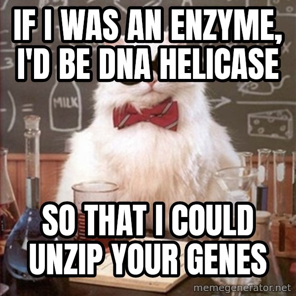 Science Cat meme: If i was an enzyme, i'd be dna helicase / so that i could unzip your genes