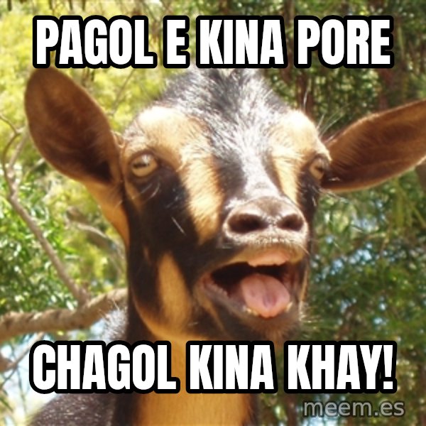 Illogical Goat meme: Pagol e kina pore / Chagol kina khay!
