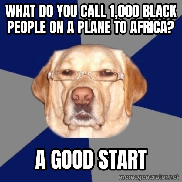 Racist Dog meme: What do you call 1,000 black people on a plane to africa? / A good start