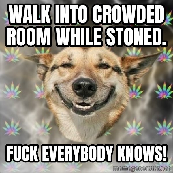 Stoner Dog meme: Walk into crowded room while stoned. / FUCK EVERYBODY KNOWS!